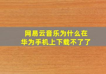 网易云音乐为什么在华为手机上下载不了了