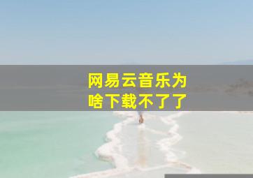 网易云音乐为啥下载不了了