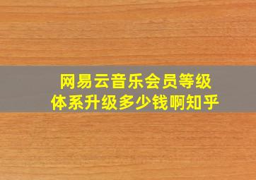 网易云音乐会员等级体系升级多少钱啊知乎