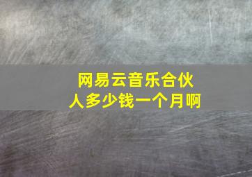 网易云音乐合伙人多少钱一个月啊