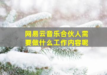 网易云音乐合伙人需要做什么工作内容呢