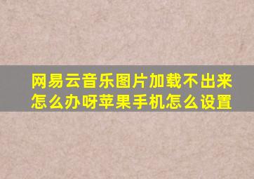 网易云音乐图片加载不出来怎么办呀苹果手机怎么设置