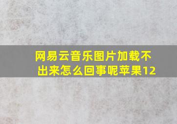 网易云音乐图片加载不出来怎么回事呢苹果12