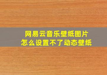 网易云音乐壁纸图片怎么设置不了动态壁纸