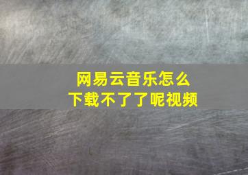 网易云音乐怎么下载不了了呢视频