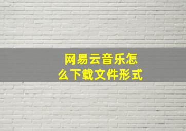 网易云音乐怎么下载文件形式