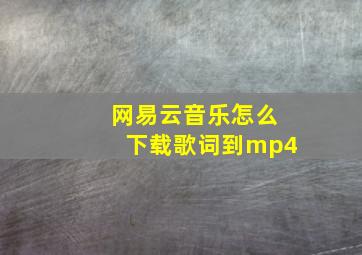 网易云音乐怎么下载歌词到mp4