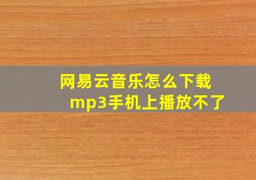 网易云音乐怎么下载mp3手机上播放不了