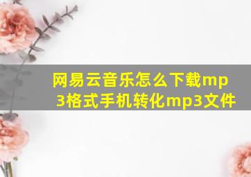 网易云音乐怎么下载mp3格式手机转化mp3文件