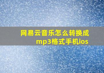 网易云音乐怎么转换成mp3格式手机ios