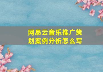 网易云音乐推广策划案例分析怎么写