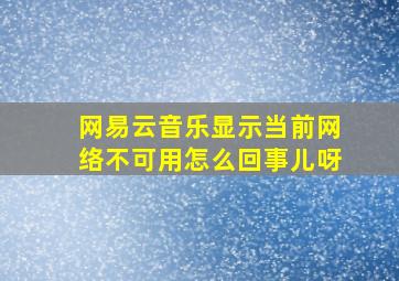 网易云音乐显示当前网络不可用怎么回事儿呀