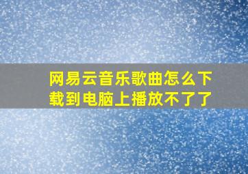 网易云音乐歌曲怎么下载到电脑上播放不了了