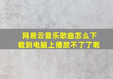 网易云音乐歌曲怎么下载到电脑上播放不了了呢