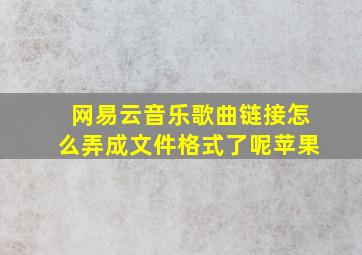 网易云音乐歌曲链接怎么弄成文件格式了呢苹果