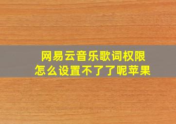 网易云音乐歌词权限怎么设置不了了呢苹果