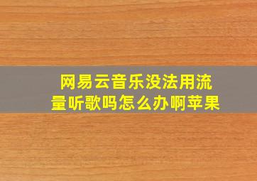 网易云音乐没法用流量听歌吗怎么办啊苹果