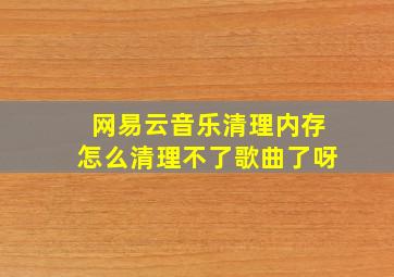 网易云音乐清理内存怎么清理不了歌曲了呀