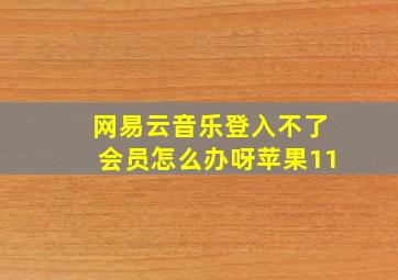 网易云音乐登入不了会员怎么办呀苹果11