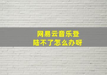 网易云音乐登陆不了怎么办呀