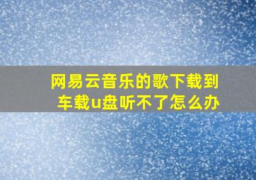 网易云音乐的歌下载到车载u盘听不了怎么办