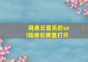 网易云音乐的url链接在哪里打开