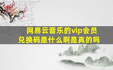 网易云音乐的vip会员兑换码是什么啊是真的吗