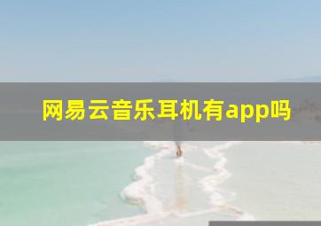 网易云音乐耳机有app吗