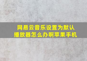 网易云音乐设置为默认播放器怎么办啊苹果手机