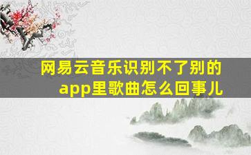 网易云音乐识别不了别的app里歌曲怎么回事儿