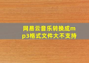 网易云音乐转换成mp3格式文件大不支持