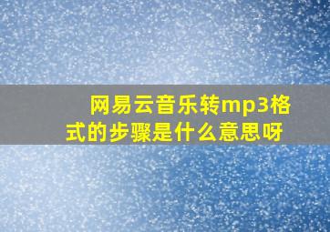 网易云音乐转mp3格式的步骤是什么意思呀