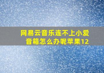 网易云音乐连不上小爱音箱怎么办呢苹果12