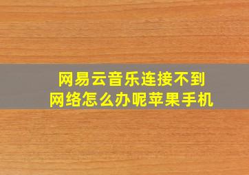 网易云音乐连接不到网络怎么办呢苹果手机