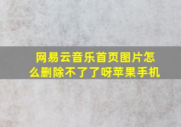 网易云音乐首页图片怎么删除不了了呀苹果手机