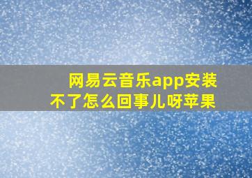 网易云音乐app安装不了怎么回事儿呀苹果