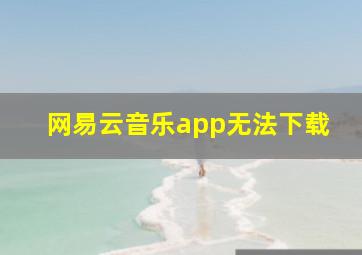 网易云音乐app无法下载