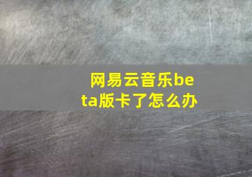 网易云音乐beta版卡了怎么办