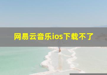 网易云音乐ios下载不了