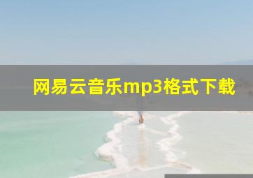 网易云音乐mp3格式下载