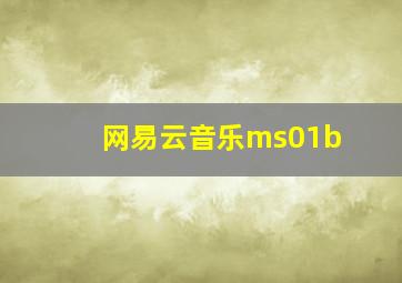 网易云音乐ms01b