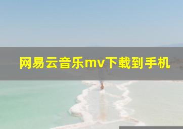 网易云音乐mv下载到手机