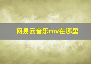 网易云音乐mv在哪里