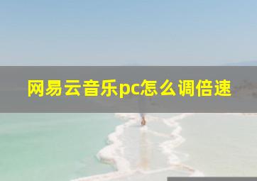 网易云音乐pc怎么调倍速