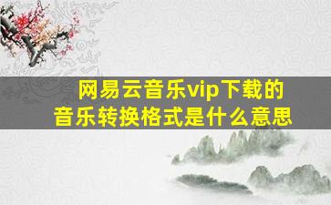 网易云音乐vip下载的音乐转换格式是什么意思