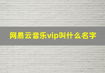 网易云音乐vip叫什么名字