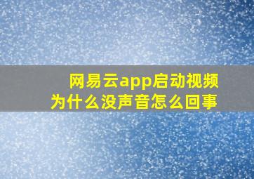 网易云app启动视频为什么没声音怎么回事