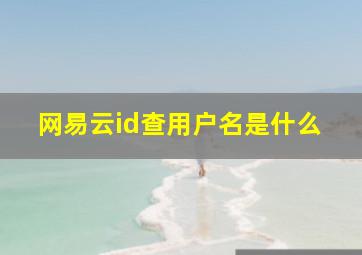 网易云id查用户名是什么