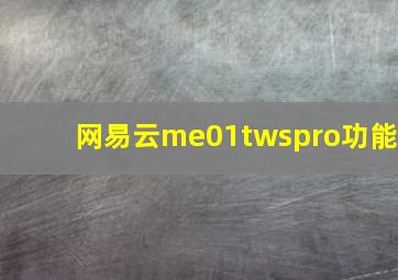 网易云me01twspro功能