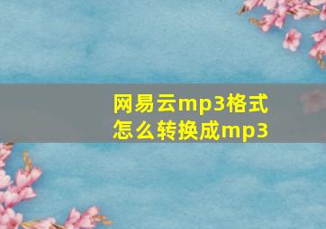 网易云mp3格式怎么转换成mp3